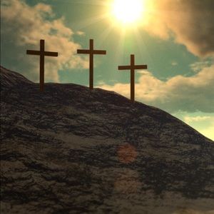 Meet your Posher, Hailey